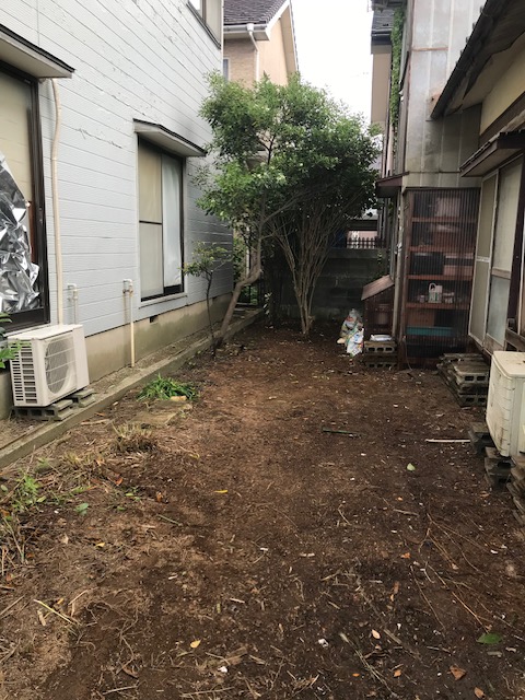 Afterの画像