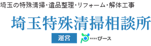 株式会社ぴース