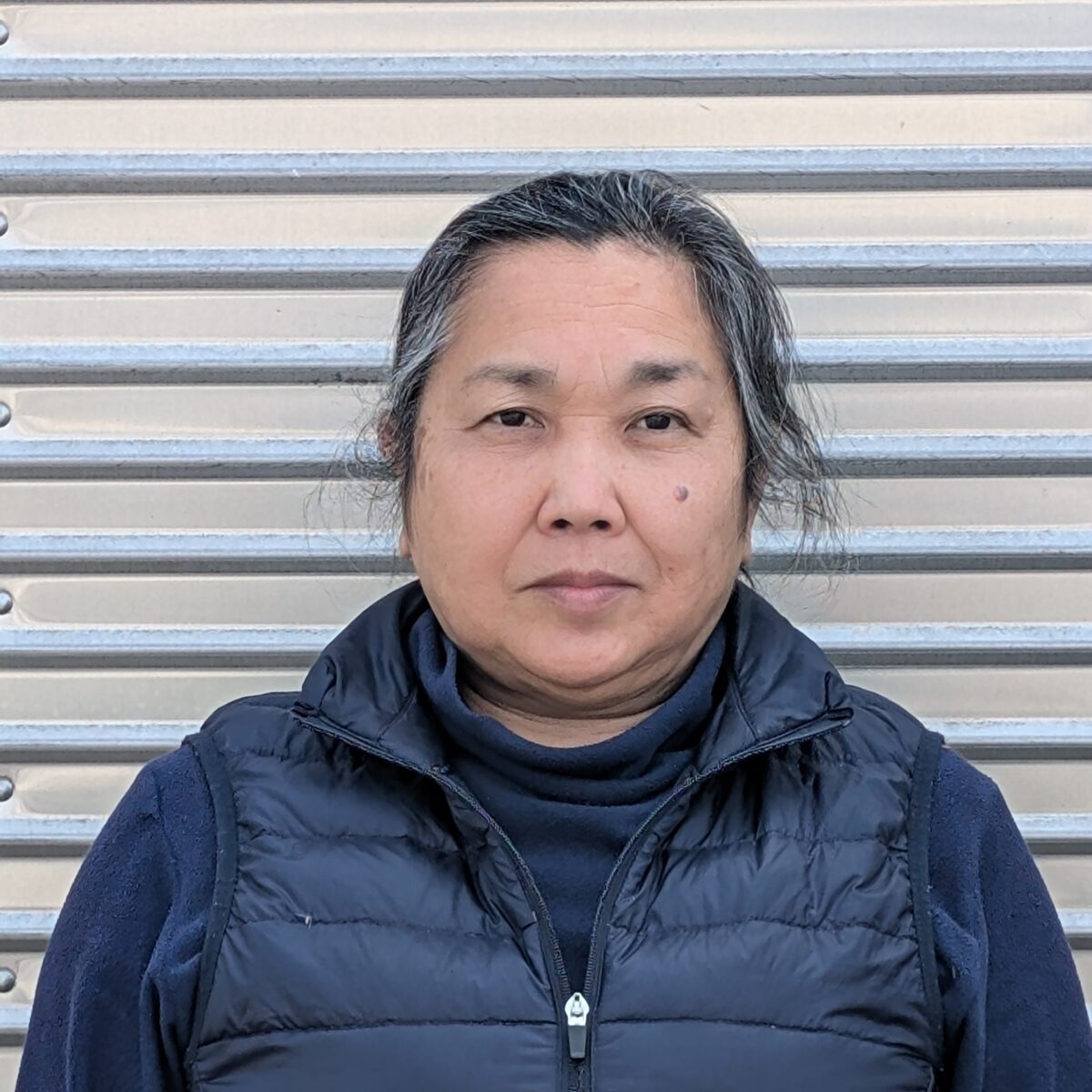 藤野 恵子の画像