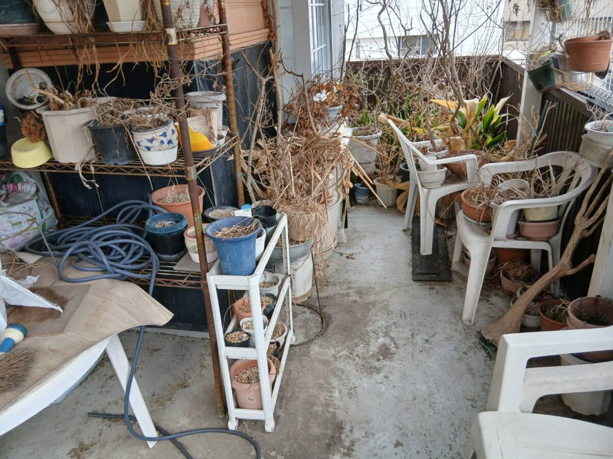 Beforeの画像