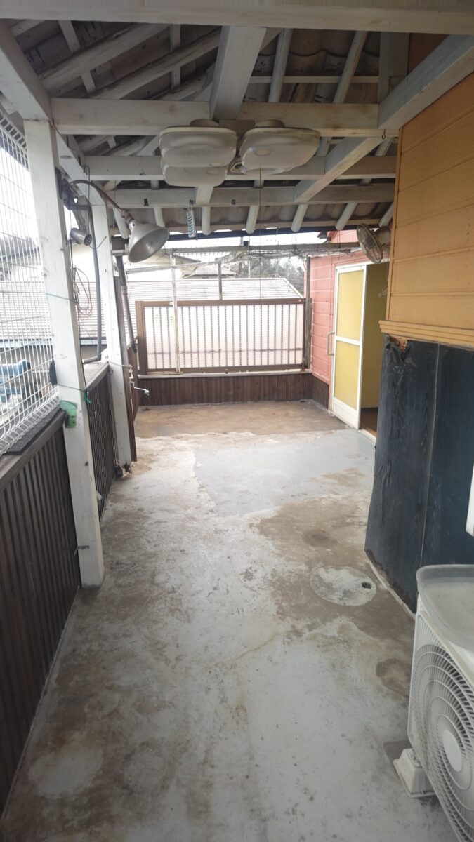 Afterの画像