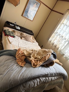 Beforeの画像