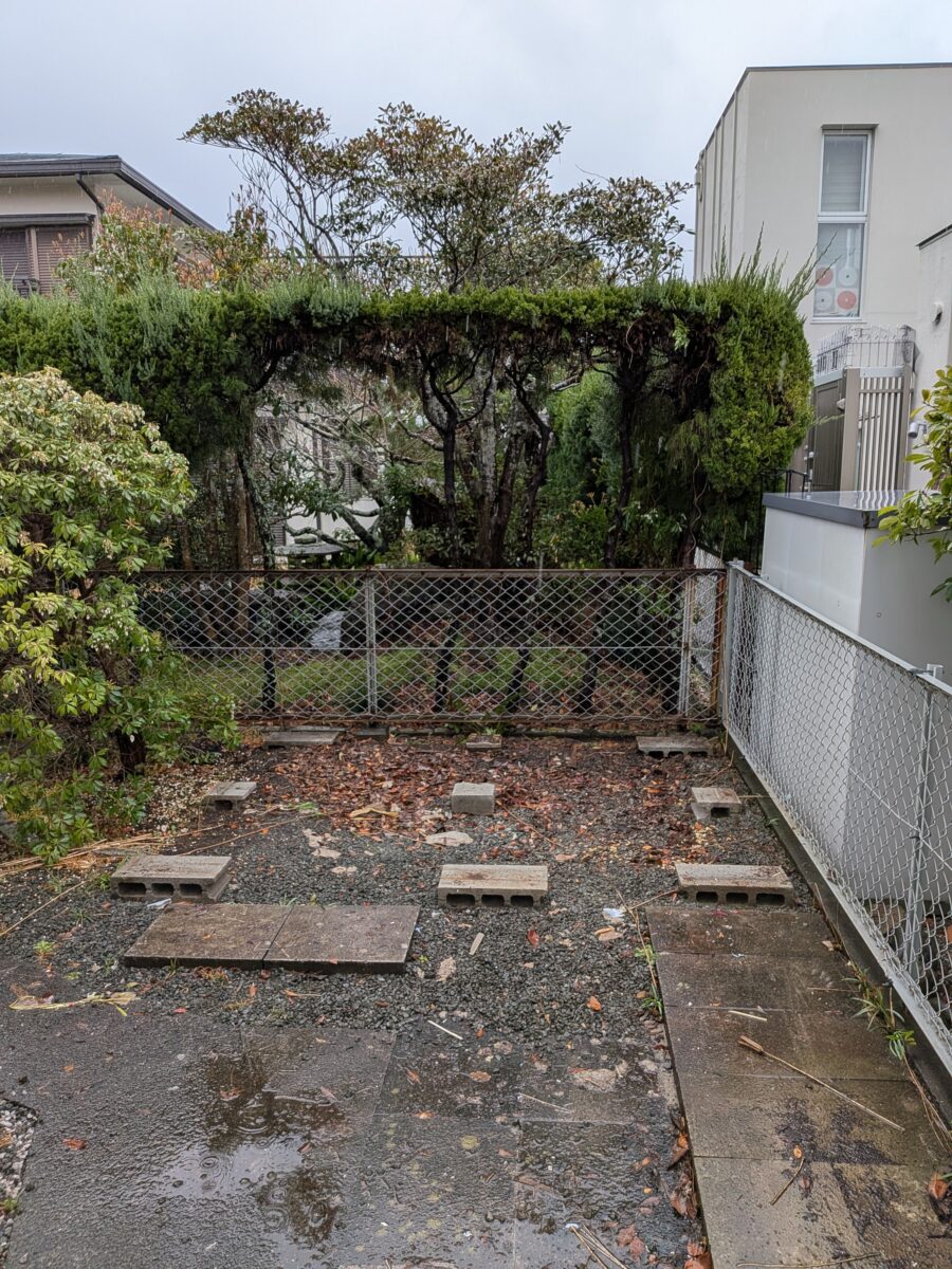 Afterの画像
